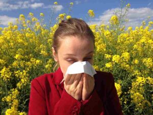 Hay Fever or Seasonal Allergies caused by pollen